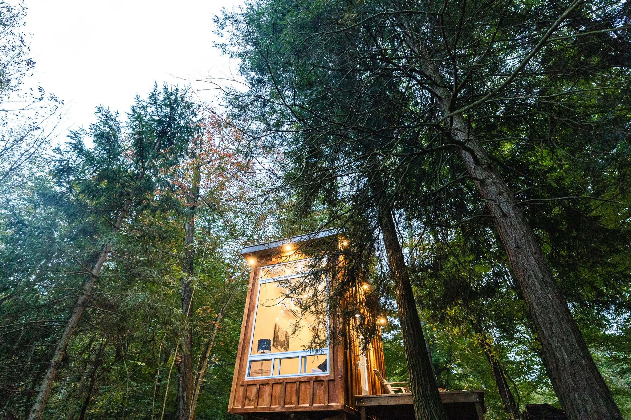 Bracken Cabin at Fernwood Hills — secluded forest cabin for sessions