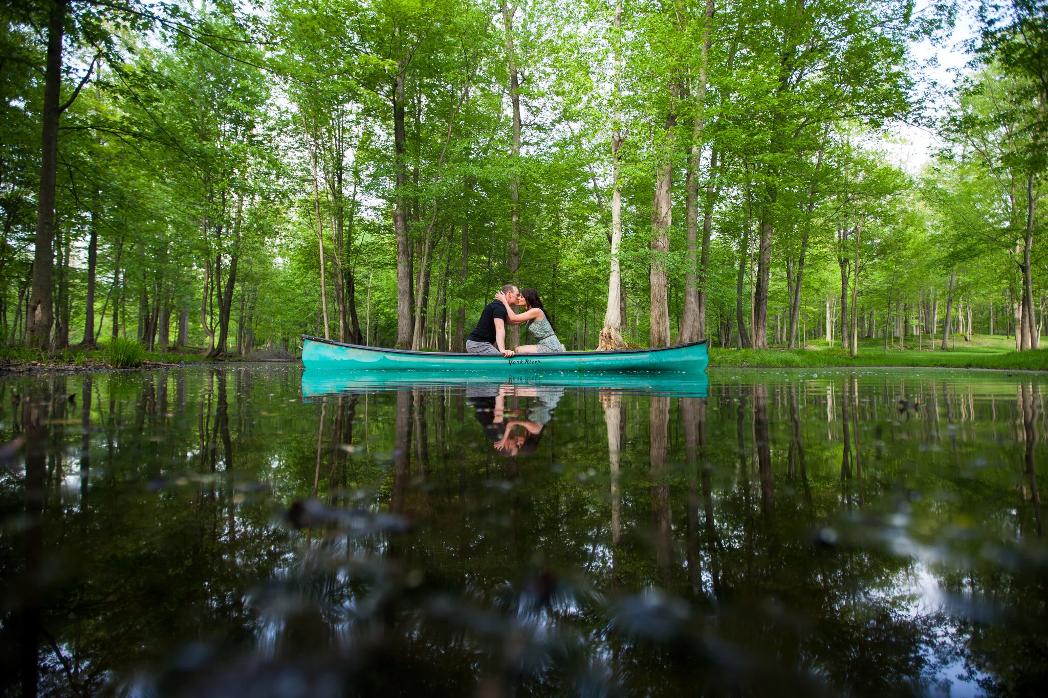 Forest photography at Fernwood Hills